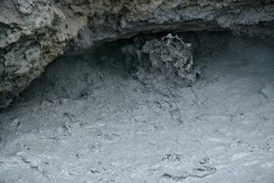 Mud Volcano Area, Yellowstone National Park