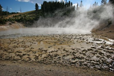 Mud Caldron, Yellowstone National Park