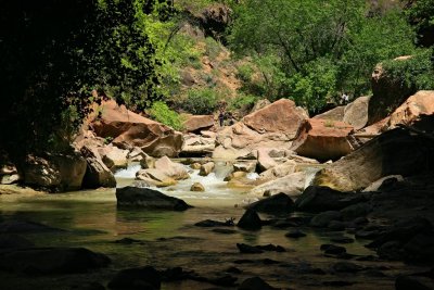 Riverside Walk, Zion Canyon, Zion National Park