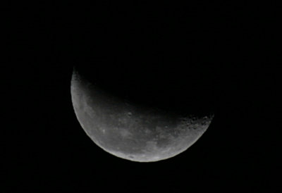 IMG_0787 f.jpg