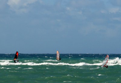 IMG_0029 f.jpg
