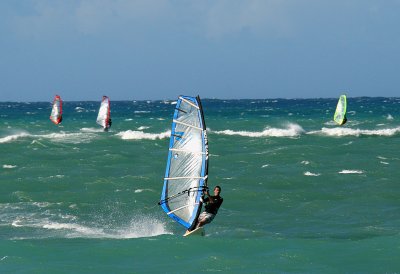 IMG_0030 f.jpg