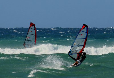 IMG_0050 f.jpg