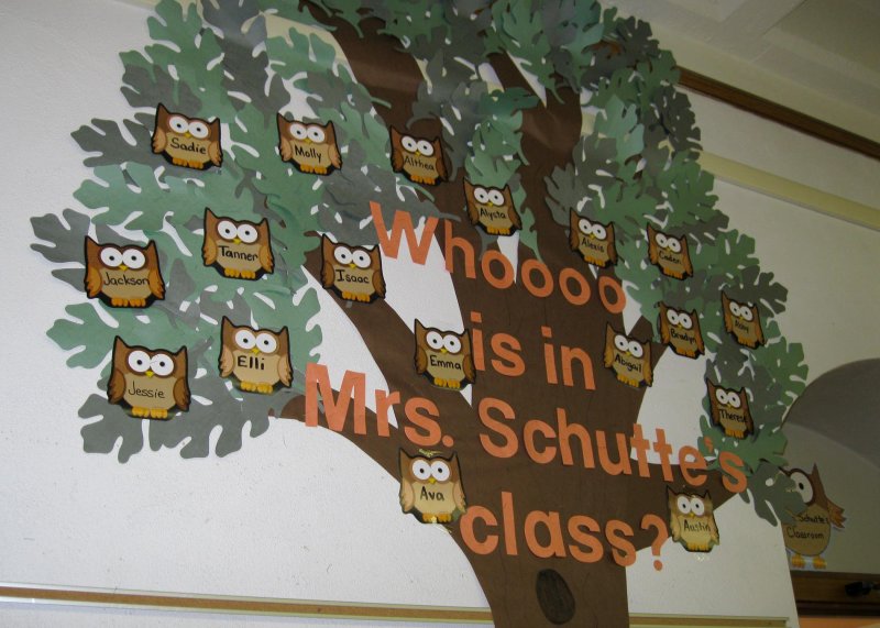 owls on wall name.jpg