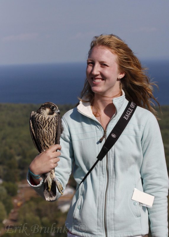 Tessa holding the Peregrine Falcon
