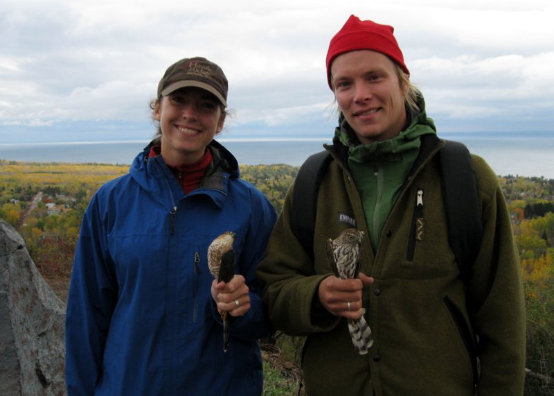 Songbird-banders Kaitlin and Matti, with Sharp-shinned Hawks