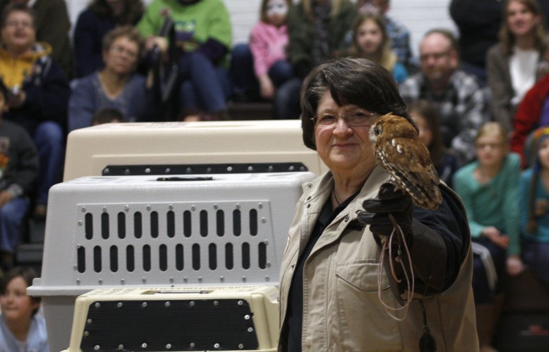 Eastern Screech Owls