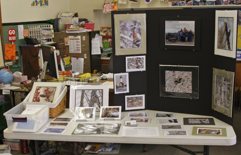 My Naturally Avian display