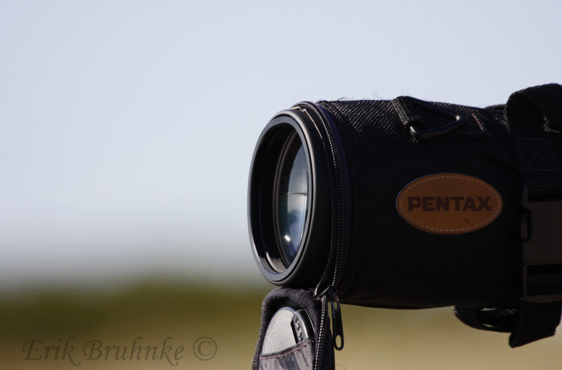 My tool of choice for scanning the skies for raptors, and the shores for shorebirds. Im a Pentax guy