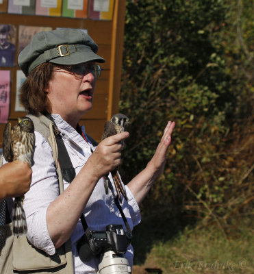 Laura Erickson with American Kestrel