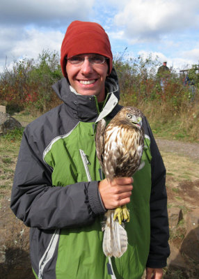 I'm holding a juvenile rufous-morph Red-tailed Hawk