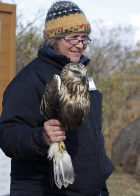 Gail with the Rough-legged Hawk