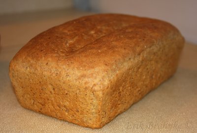 My from-scratch whole wheat, honey, oats, flax bread that I made for the birding trip