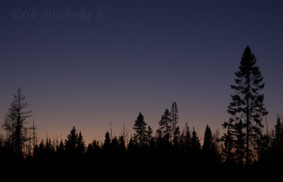 Sunset at the bog... it was a very brisk, crisp, and beautiful night!