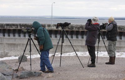 Some of the birders from NE Wisconsin