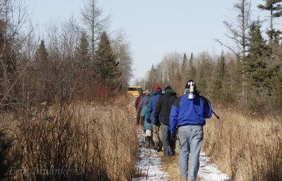Walking through a bog in Aitkin County, during the Sax-Zim Bog festival