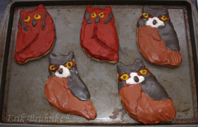 Eastern Screech Owl cookies and Great Horned Owl Cookies