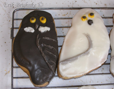 Great Gray Owl cookie and Snowy Owl cookie