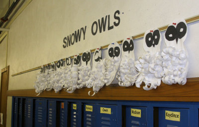 snowy owls.jpg