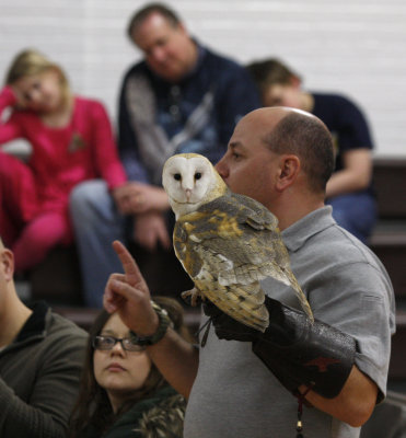 Teaching about the Barn Owl