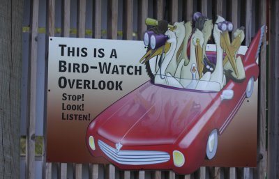 Birdwatching Sign... it's what you need to do :)