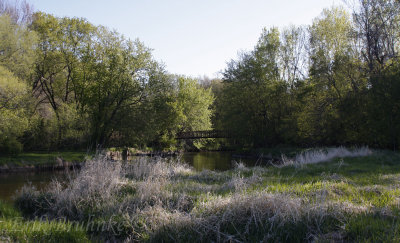 Beautiful scenery and bridge, at Myrick Hixon EcoPark