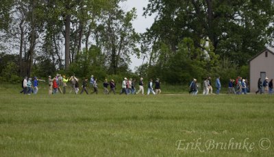 Birding crowd, to see the Kirtland's Warbler!