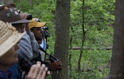Carlos Bethancourt pointing out warblers