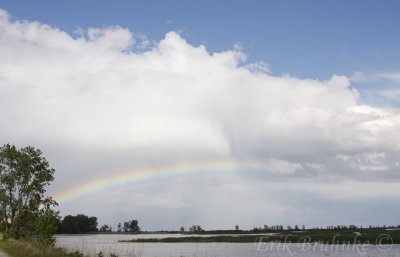Rainbow over Metzger Marsh