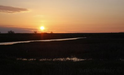 Sunrise in Metzger Marsh