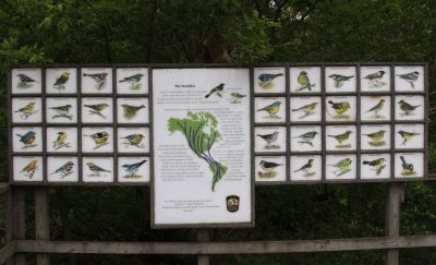 Warbler sign, at the head of the boardwalk
