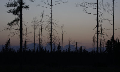 Sunset in Sax-Zim Bog