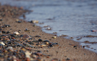 Rocks on the beach