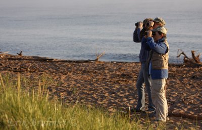 Birdwatching at the point, at sunrise