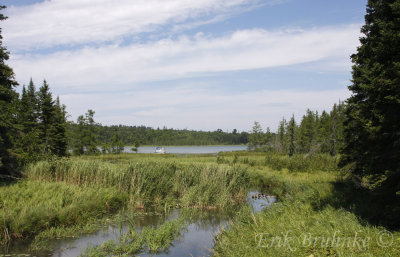 Itasca Beauty