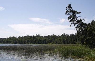 Beauty in Itasca