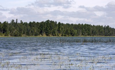 Lake Itasca