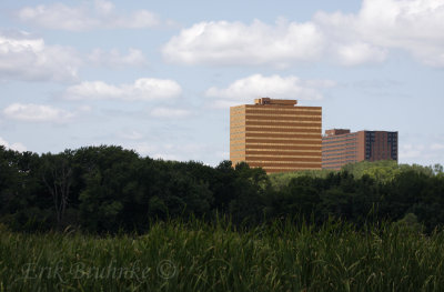 Big buildings in the cities