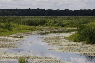 River cutting through the Minnesota Valley Wildlife Refuge