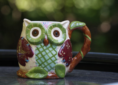 Prepping for the early morning... An owl mug that was given to me for my birthday last week