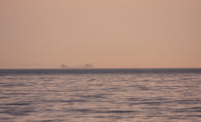 Distant ship in the morning