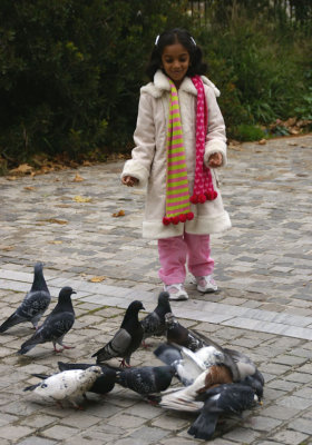 Uma with her new found feathered friends -Greek posed no problem.