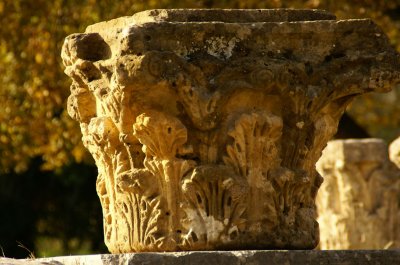 Ornate carvings on the remains of a Corinthian column near the entrance to the Olympic Village.