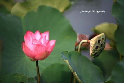 IMG_3589.jpg