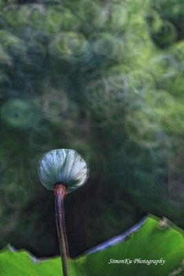 IMG_3643.jpg