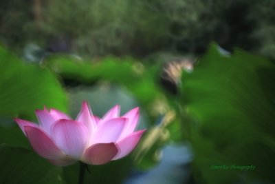 IMG_3654.jpg