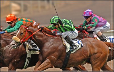 horse_racing