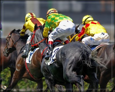 horse_racing