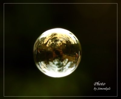 DSC_5747s.jpg