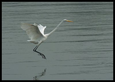 DSC_6971.jpg